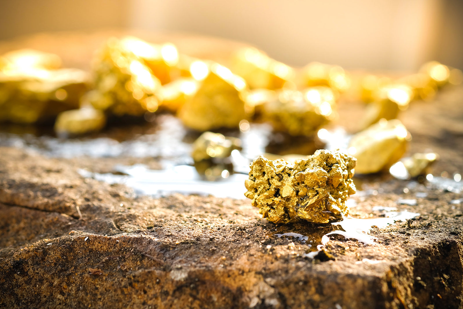 Precious metals we work with