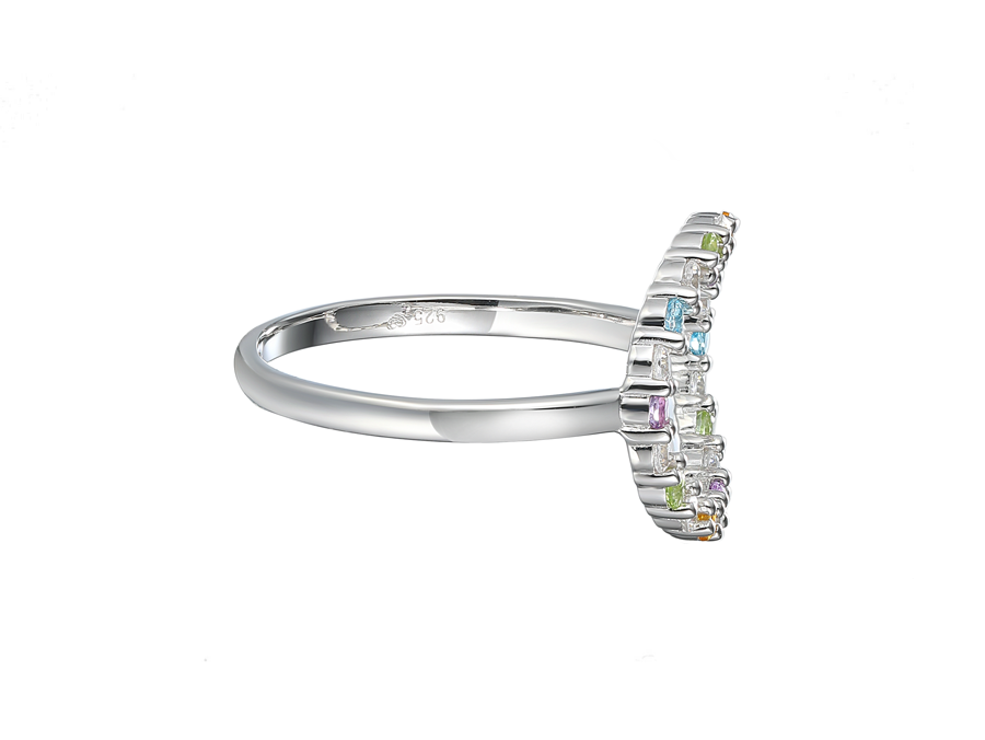 Circle of Colour Ring