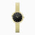 Accurist Jewellery Ladies Watch | Gold Case & Stainless Steel Bracelet with Black Onyx Dial | 28mm